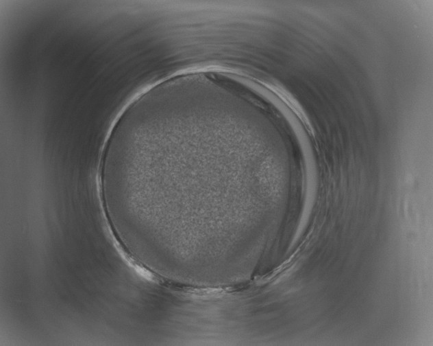 X0000073860813200609071631