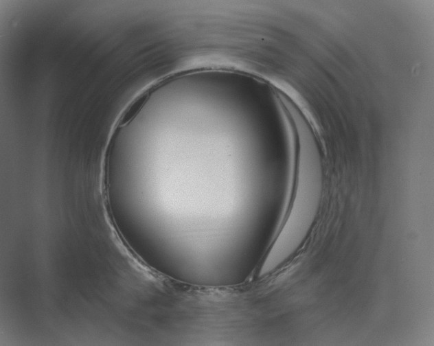 X0000073860815200609071631