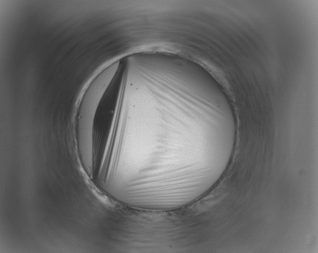 X0000073860816200609071631