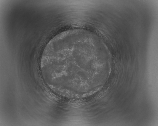 X0000073860817200609071630