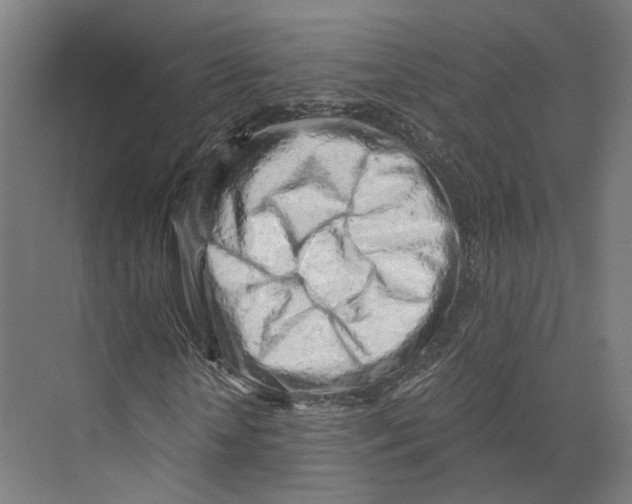 X0000073860818200609071630