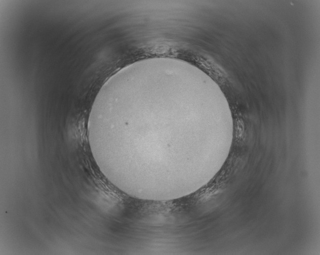 X0000073860820200609071630