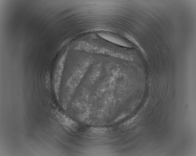 X0000073860825200609071631