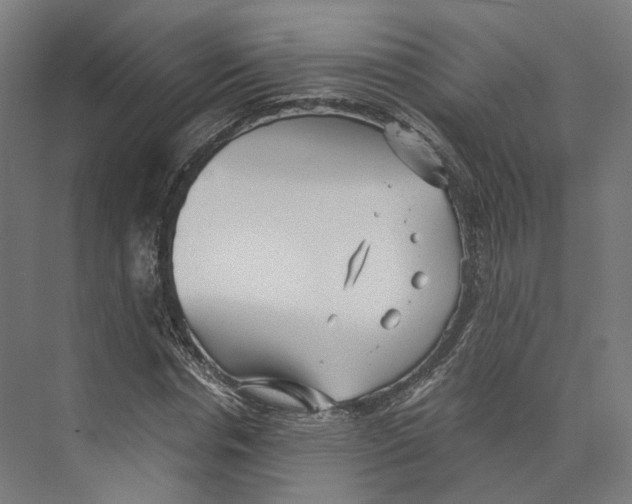 X0000073860826200609071631