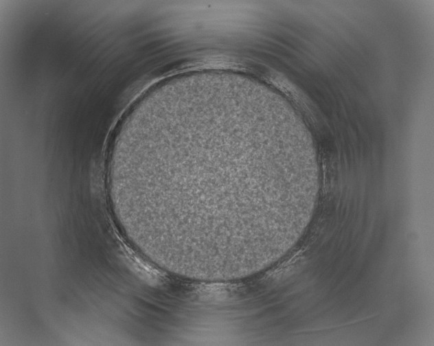 X0000073860828200609071631