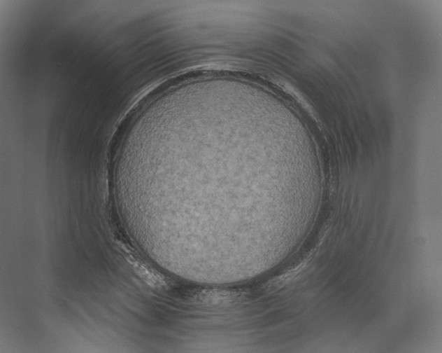 X0000073860829200609071631