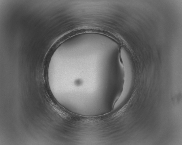 X0000073860830200609071631