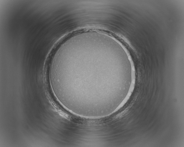 X0000073860832200609071631