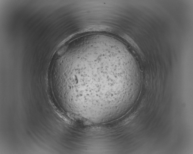 X0000073860834200609071631