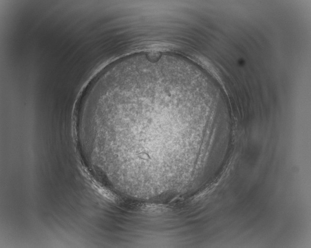 X0000073860835200609071631