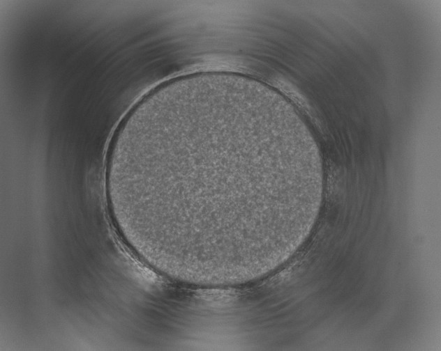 X0000073860836200609071631