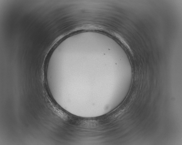 X0000073860837200609071631