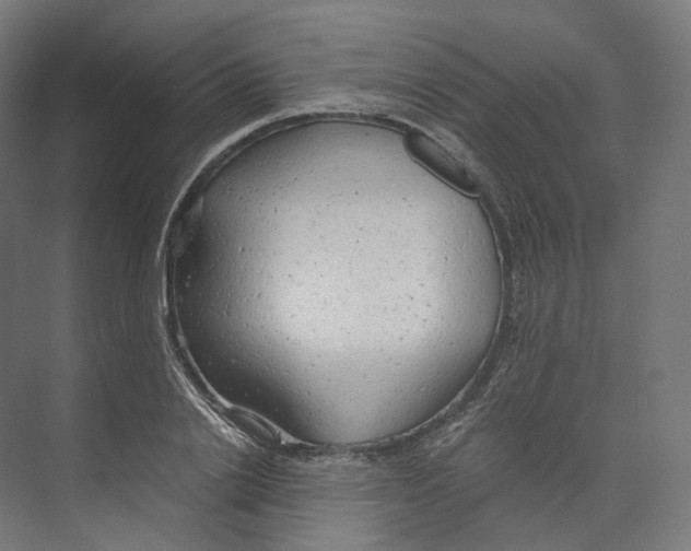 X0000073860838200609071631