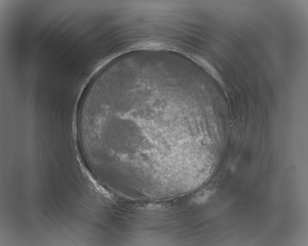 X0000073860839200609071631