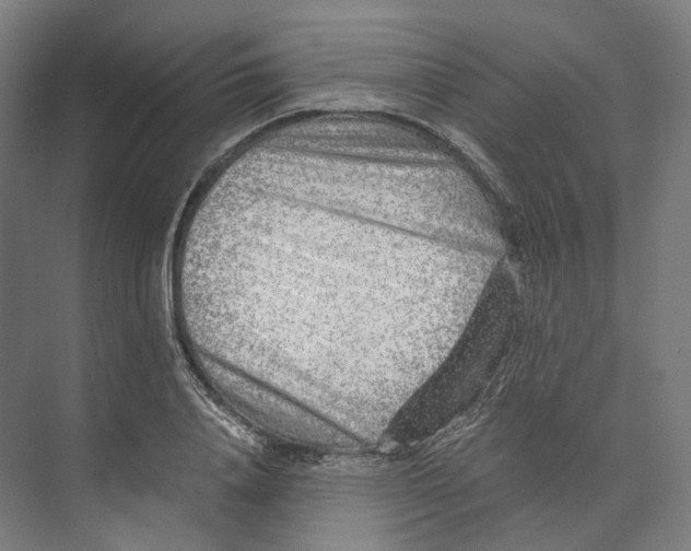 X0000073860840200609071631