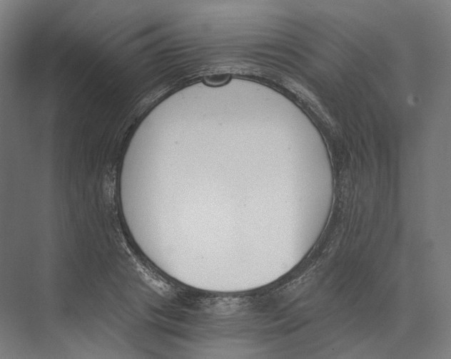 X0000073860841200609071631