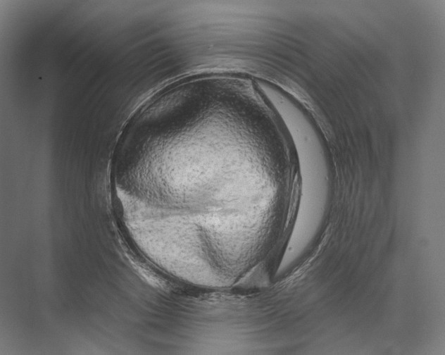 X0000073860842200609071631