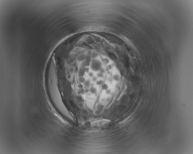 X0000073860846200609071631