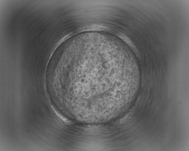 X0000073860850200609071631