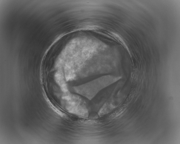 X0000073860851200609071631