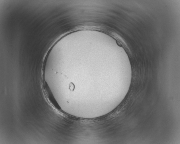 X0000073860852200609071631