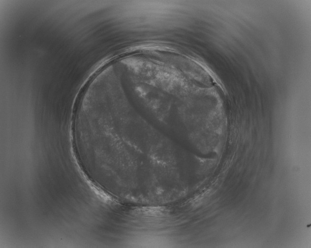 X0000073860853200609071631