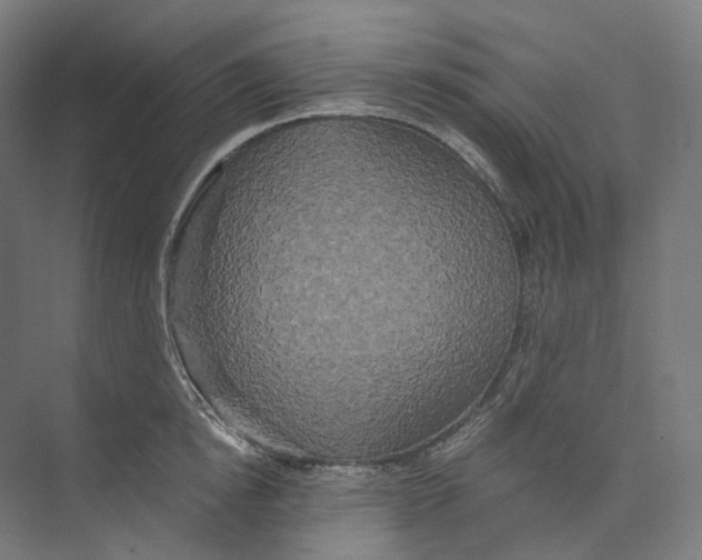 X0000073860854200609071631