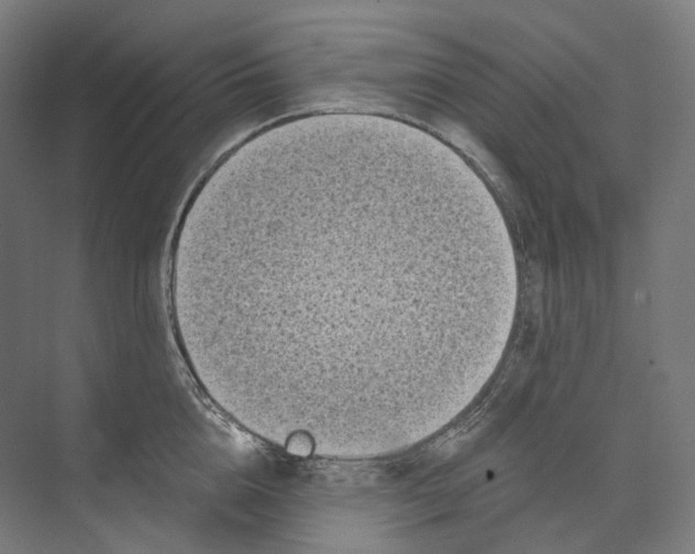 X0000073860856200609071631