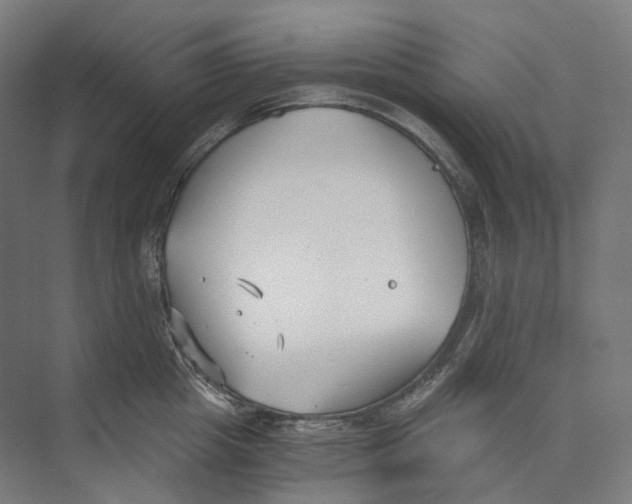 X0000073860857200609071631