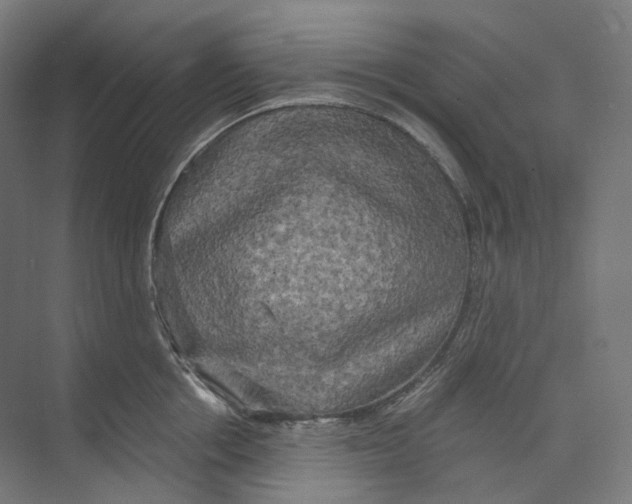 X0000073860858200609071631