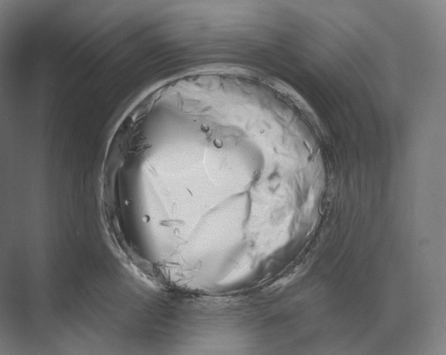 X0000073860860200609071631