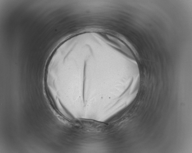 X0000073860861200609071631