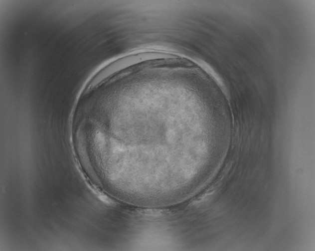 X0000073860862200609071631