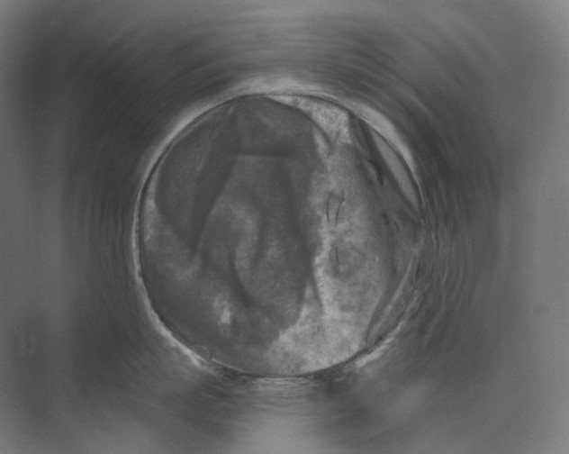 X0000073860863200609071631