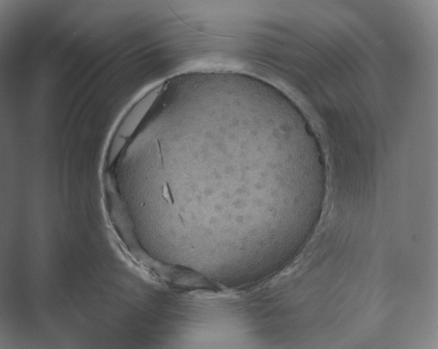 X0000073860864200609071631