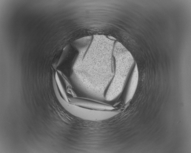 X0000073860868200609071630