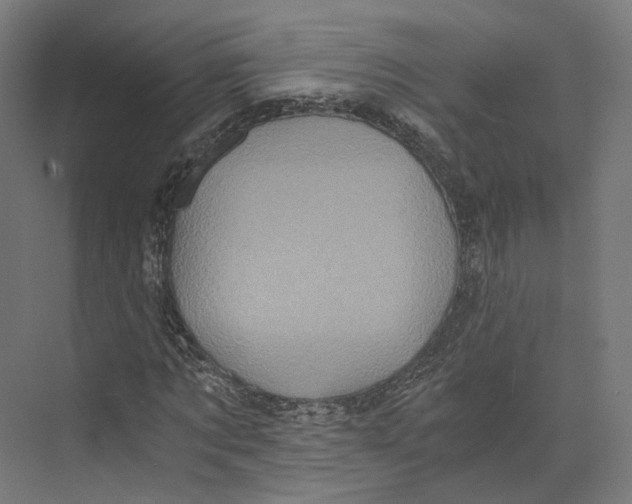 X0000073860869200609071630