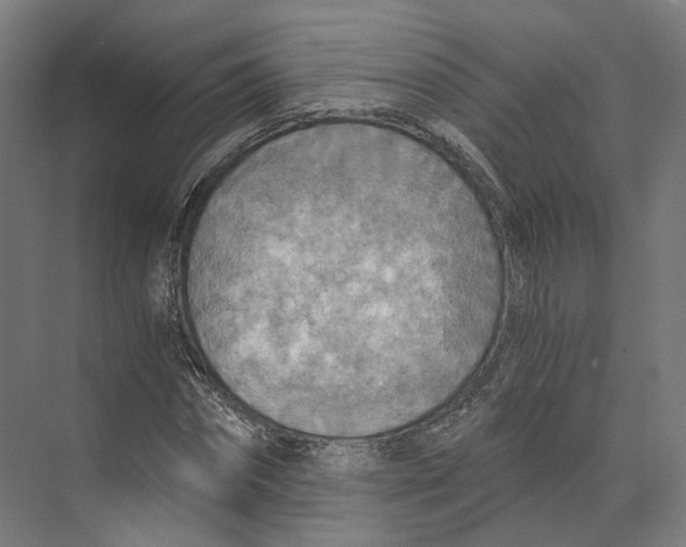 X0000073860874200609071630