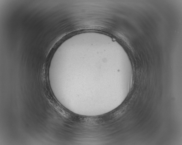 X0000073860875200609071630