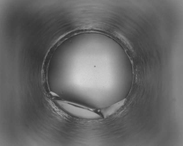 X0000073860876200609071630