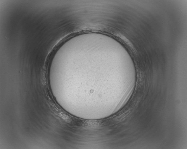 X0000073860878200609071630