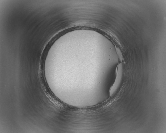 X0000073860880200609071630