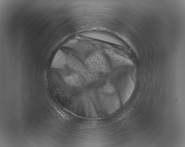 X0000073860881200609071630