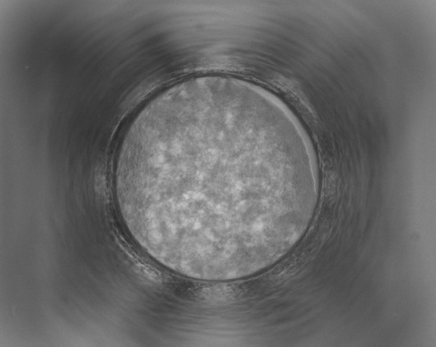 X0000073860882200609071630