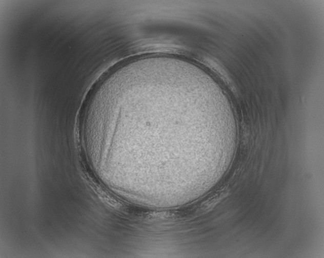 X0000073860883200609071630