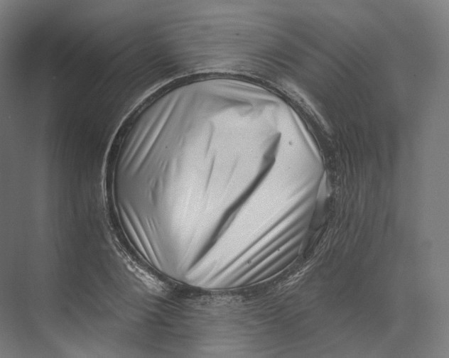 X0000073860884200609071630