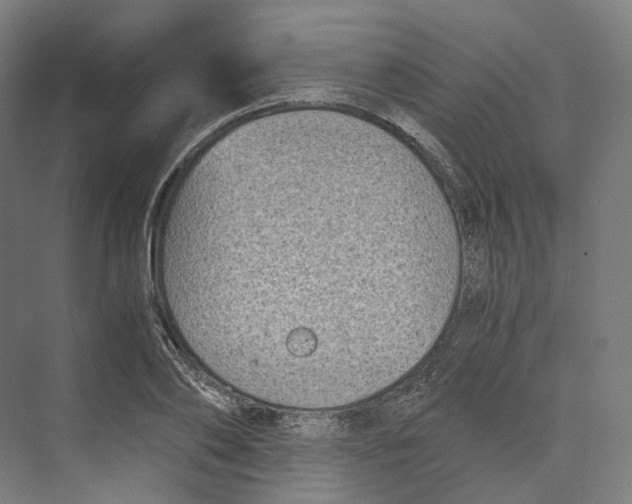 X0000073860886200609071630