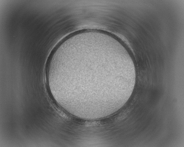 X0000073860887200609071630