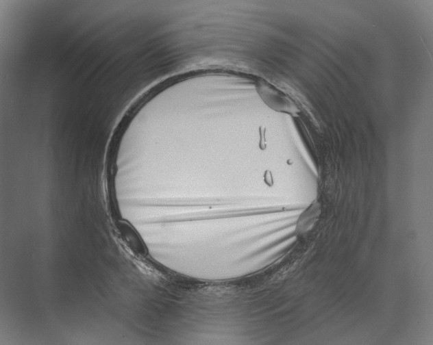 X0000073860888200609071630