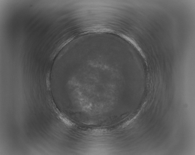 X0000073860889200609071630